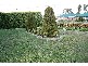 50 Morris Street, Prospect TAS 7250