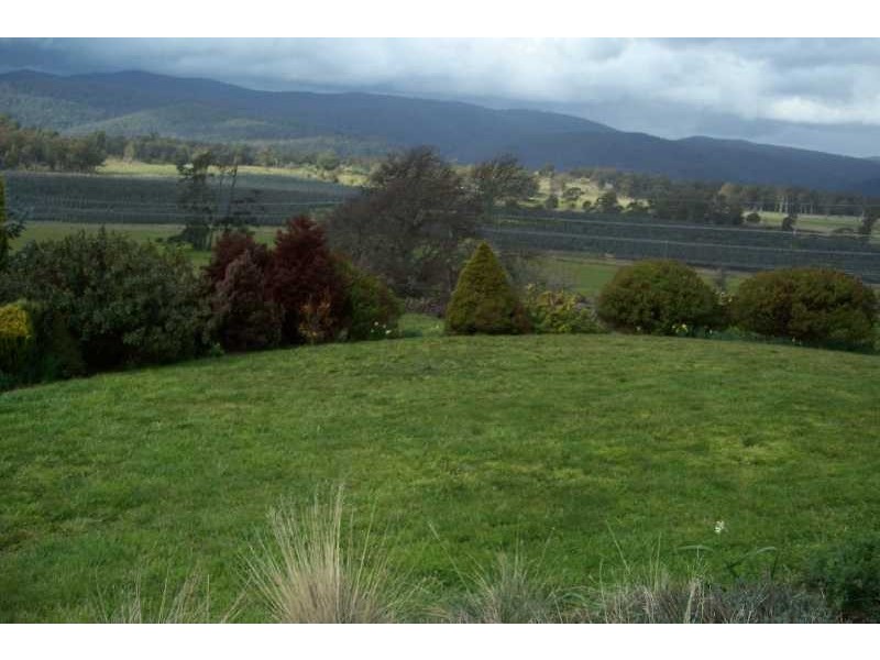 39678 Tasman Highway, Nunamara TAS 7259