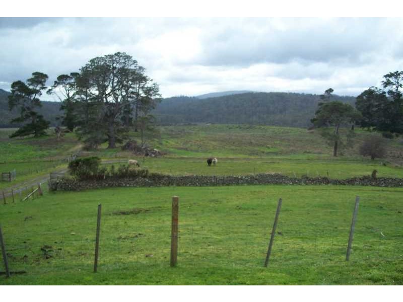 39678 Tasman Highway, Nunamara TAS 7259