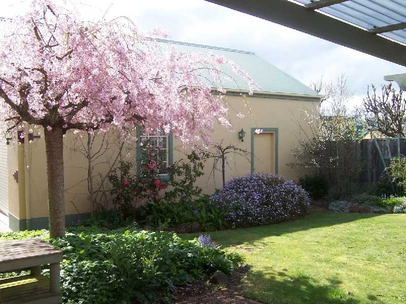 17  Riseley Street, Kings Meadows TAS 7249