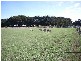 Lot 1 Grant Street, Campbell Town TAS 7210