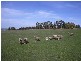 Lot 1 Grant Street, Campbell Town TAS 7210