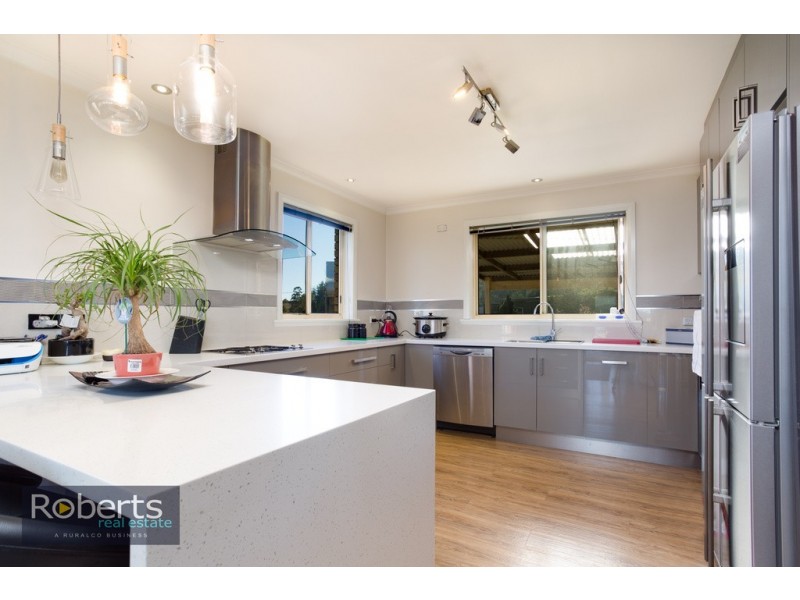 224 Tunnel Rd, Tunnel TAS 7254