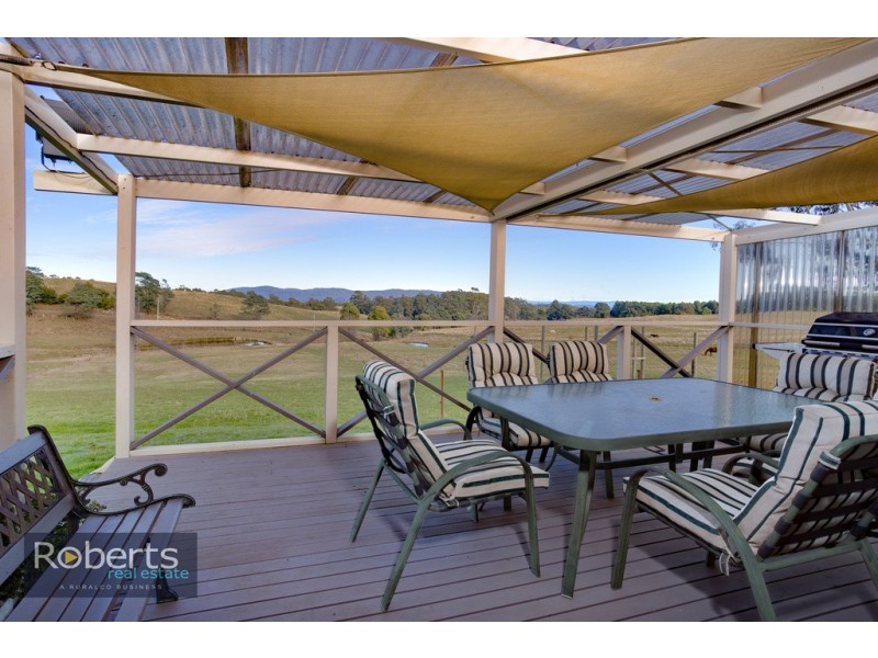 224 Tunnel Rd, Tunnel TAS 7254