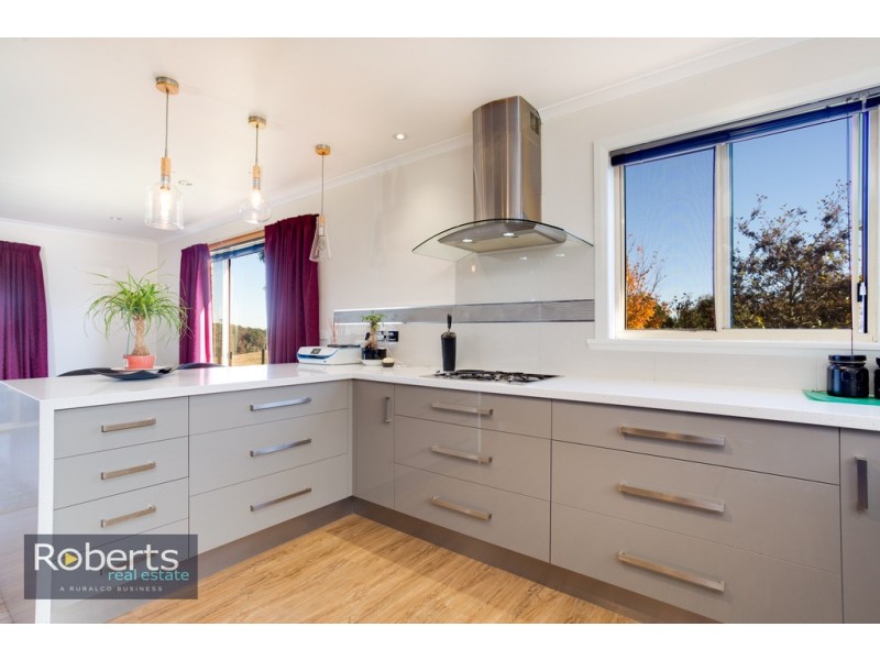 224 Tunnel Rd, Tunnel TAS 7254