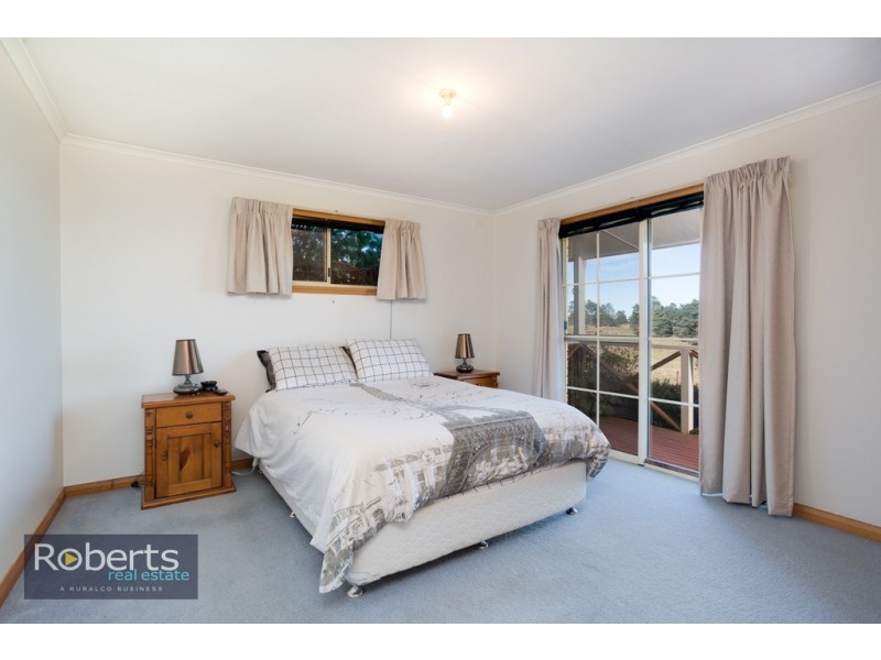 224 Tunnel Rd, Tunnel TAS 7254