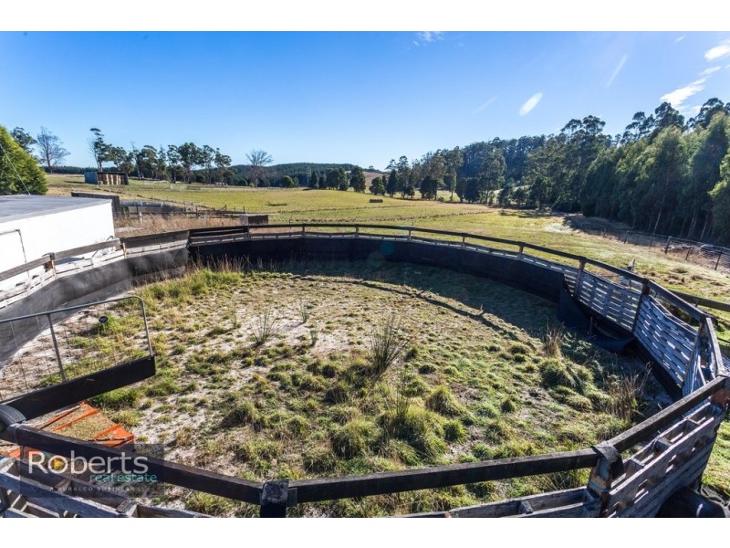 224 Tunnel Rd, Tunnel TAS 7254