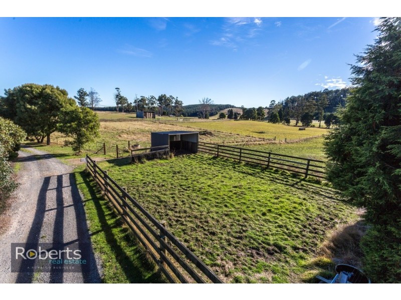 224 Tunnel Rd, Tunnel TAS 7254