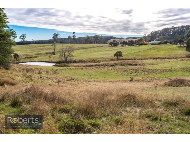 224 Tunnel Rd, Tunnel TAS 7254