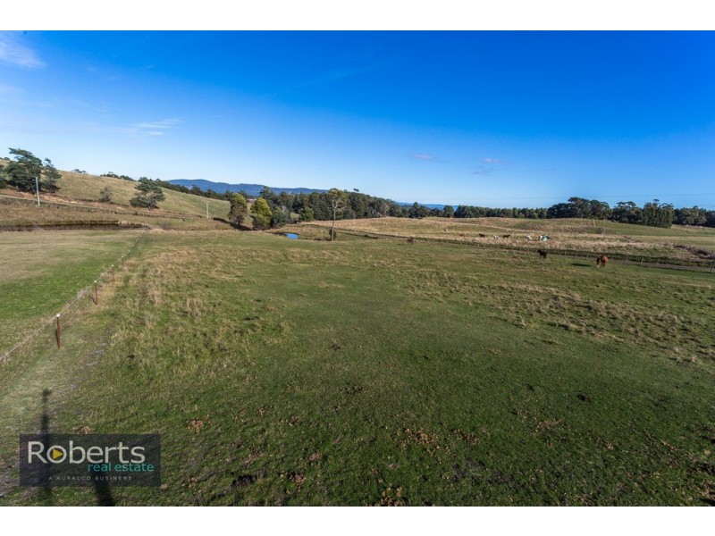 224 Tunnel Rd, Tunnel TAS 7254