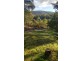 148 Blackstone Road, Blackstone Heights TAS 7250