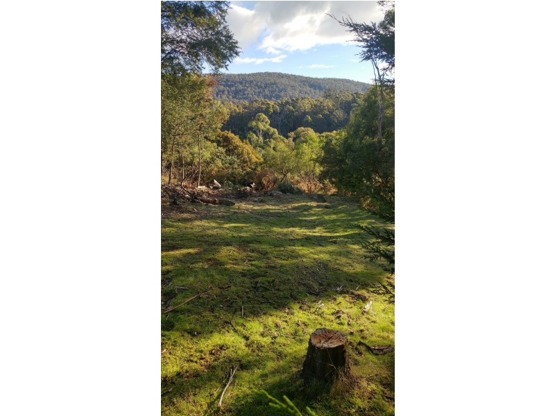 148 Blackstone Road, Blackstone Heights TAS 7250