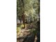 148 Blackstone Road, Blackstone Heights TAS 7250