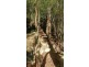 148 Blackstone Road, Blackstone Heights TAS 7250