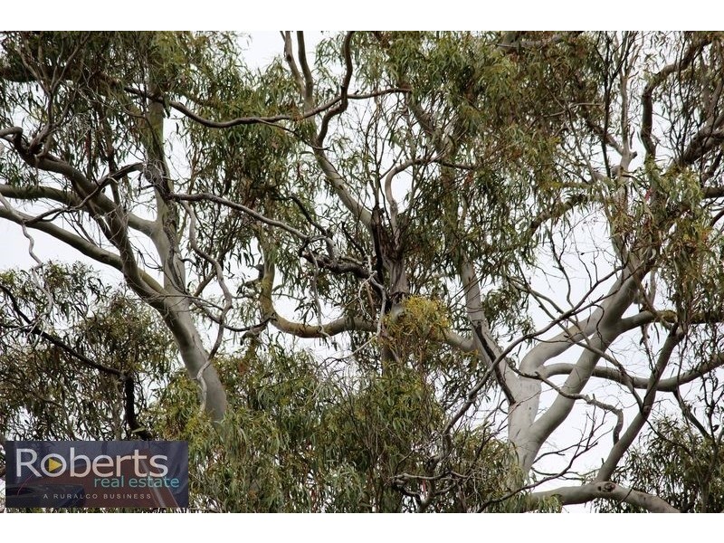 234 Frankford Rd, Exeter TAS 7275