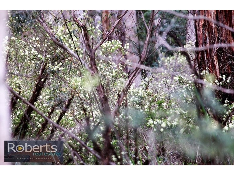 234 Frankford Rd, Exeter TAS 7275