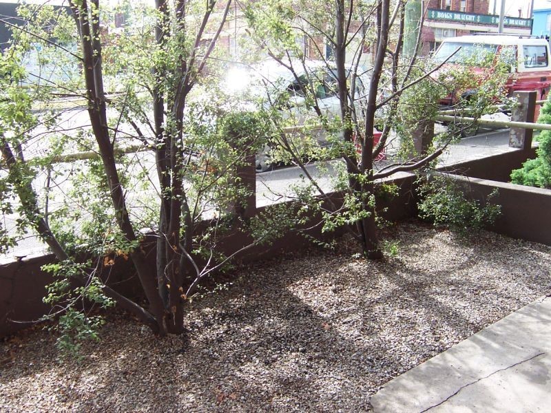 54a Bathurst Street, Launceston TAS 7250