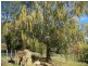 5824 Bass Highway, Elizabeth Town TAS 7304