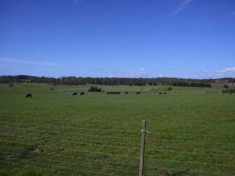 3568 West Tamar Highway, Sidmouth TAS 7270