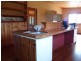21 McNeill Street, Mole Creek TAS 7304
