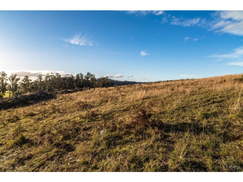 121 Brooks Road, Lalla TAS 7267