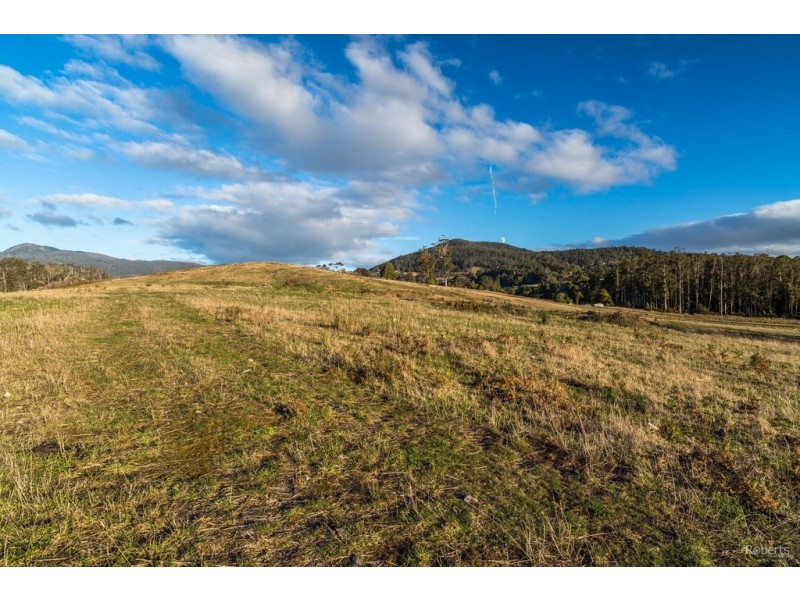 121 Brooks Road, Lalla TAS 7267