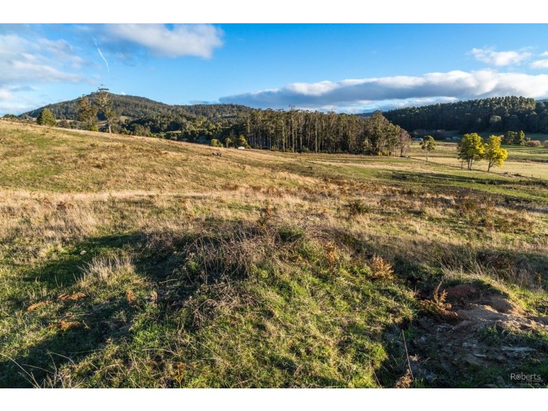 121 Brooks Road, Lalla TAS 7267