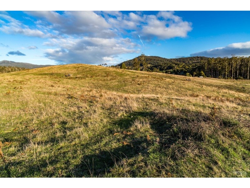 121 Brooks Road, Lalla TAS 7267