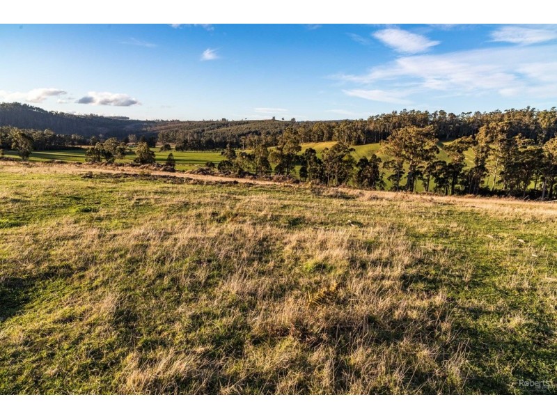 121 Brooks Road, Lalla TAS 7267