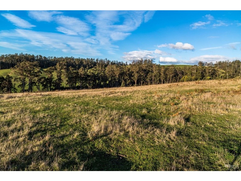 121 Brooks Road, Lalla TAS 7267