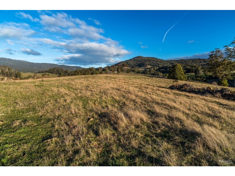 121 Brooks Road, Lalla TAS 7267