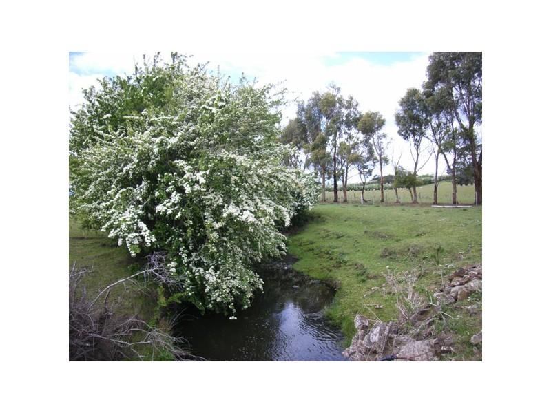 800 Whitemore Road, Whitemore TAS 7303