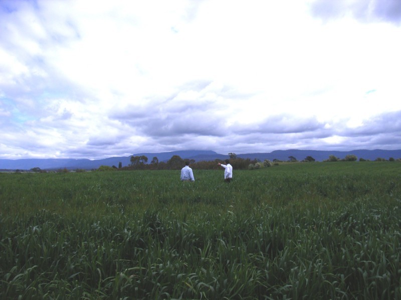 800 Whitemore Road, Whitemore TAS 7303