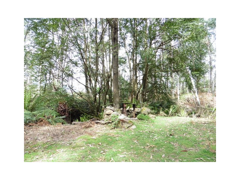 . Cnr and Capples Road, Cuckoo TAS 7260