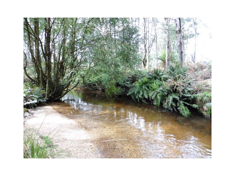 . Cnr and Capples Road, Cuckoo TAS 7260