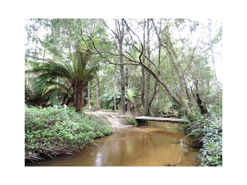 . Cnr and Capples Road, Cuckoo TAS 7260