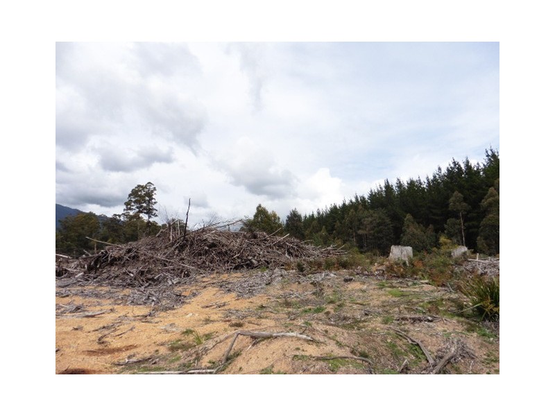 . Cnr and Capples Road, Cuckoo TAS 7260