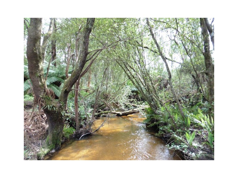 . Cnr and Capples Road, Cuckoo TAS 7260