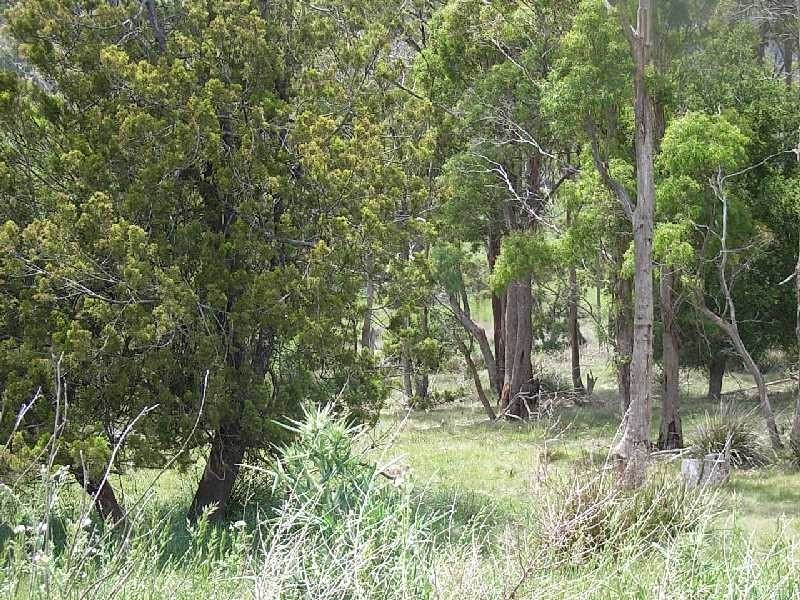 36 Sherbourne Drive, Dilston TAS 7252