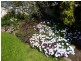 15 High St, East Launceston TAS 7250