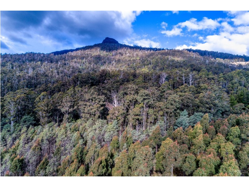 337 East Meander Road, Meander TAS 7304