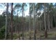 337 East Meander Road, Meander TAS 7304