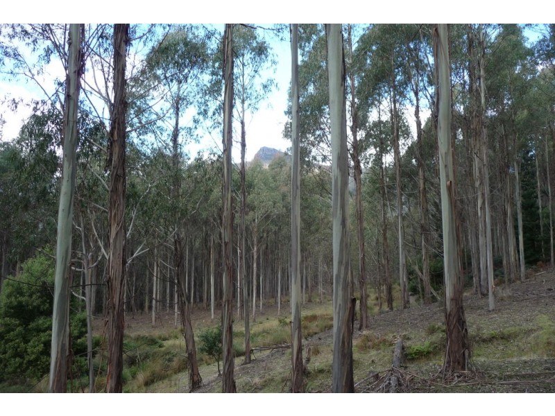 337 East Meander Road, Meander TAS 7304