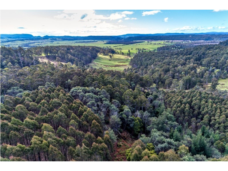 337 East Meander Road, Meander TAS 7304
