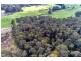 337 East Meander Road, Meander TAS 7304