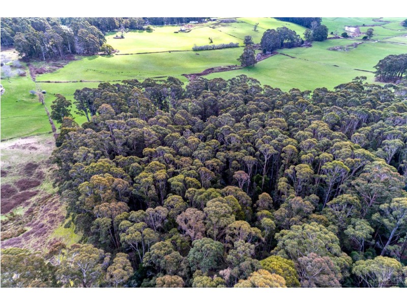 337 East Meander Road, Meander TAS 7304