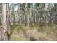 337 East Meander Road, Meander TAS 7304