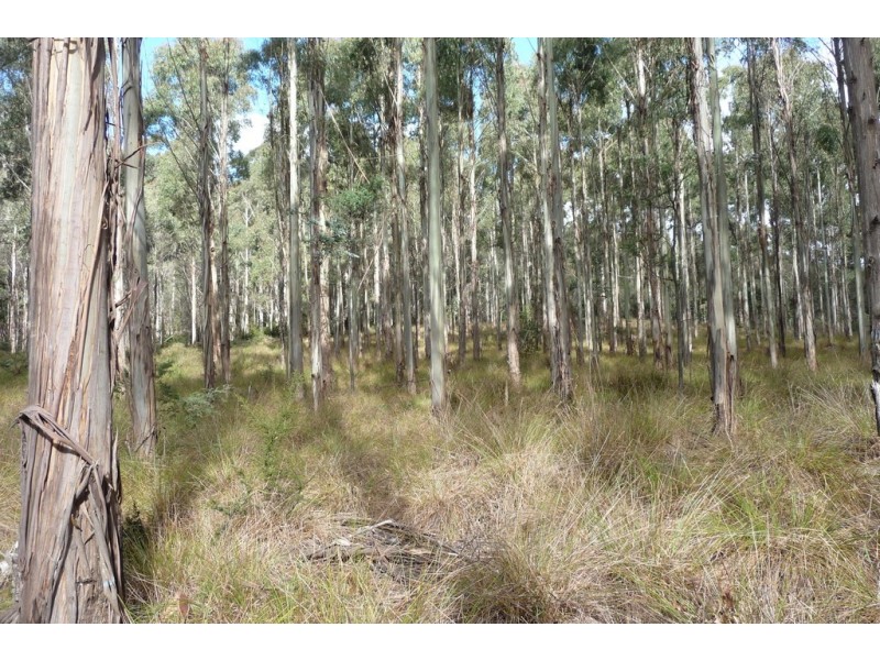 337 East Meander Road, Meander TAS 7304