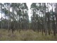 337 East Meander Road, Meander TAS 7304