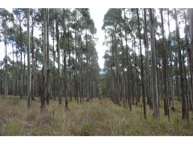337 East Meander Road, Meander TAS 7304
